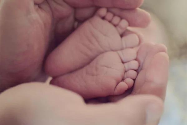 Infant and Neonatal Checkup